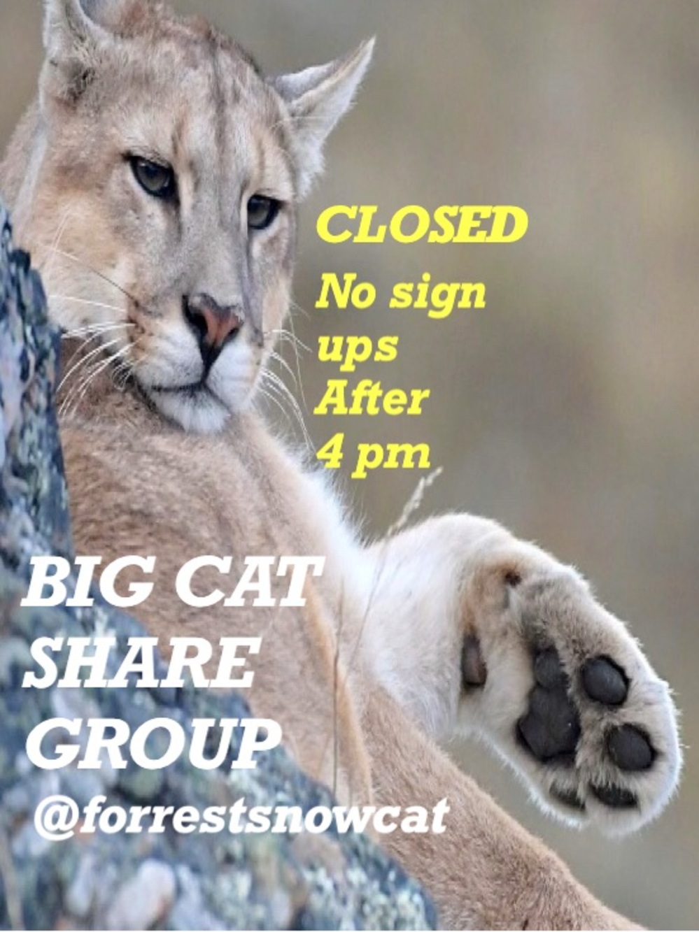 BIG CAT SHARE GROUP WEDNESDAY 9/9 CLOSED